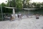 Thumbs/tn_Beetle at the beach 2022 018.jpg